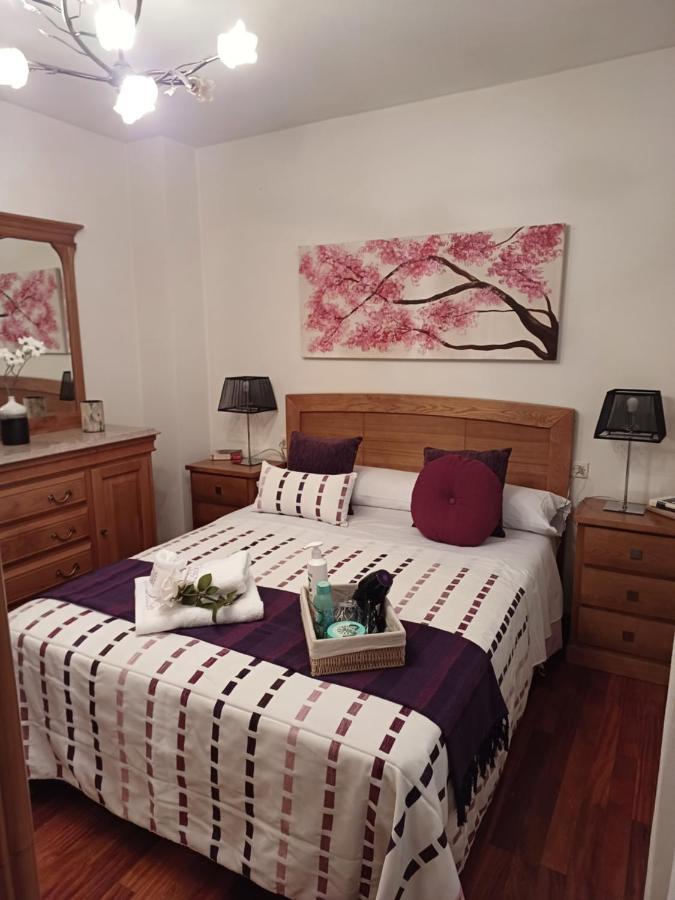 Apartamento Penedo, Camino Portugus-Con Plaza De Garaje Gratis 산티아고데콤포스텔라 외부 사진